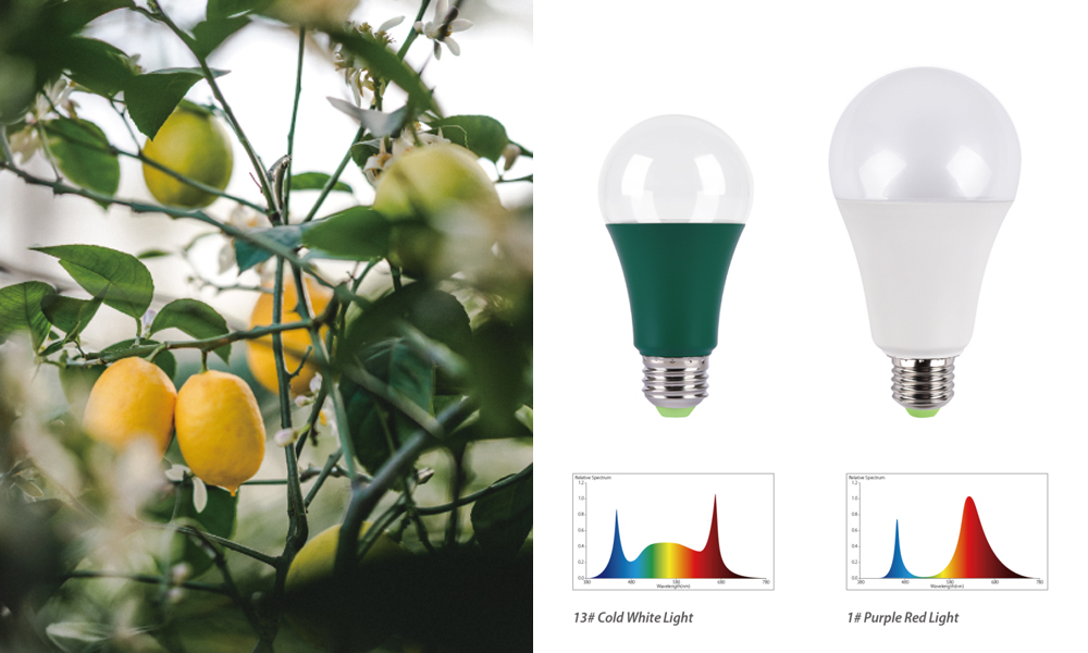 wide-luminous-angle-A60A80-LED-Plant-Grow-Light-3