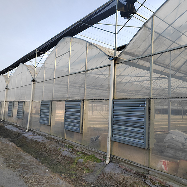 Affordable Small Polytunnels Offer Budget-Friendly Gardening Solutions