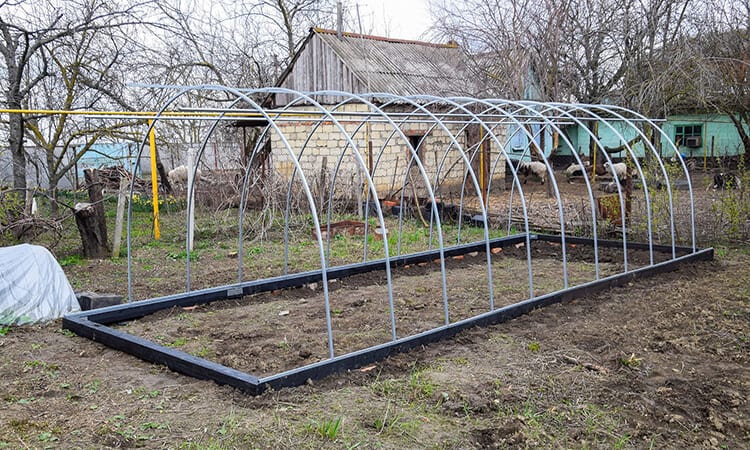 How Much Does It Cost to Build a Greenhouse?