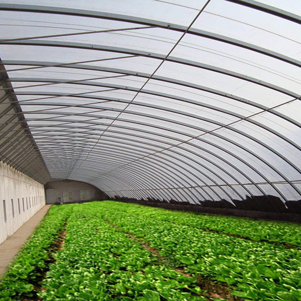 Cheap Vegetables Tunnel Greenhouse Tunnel Green House