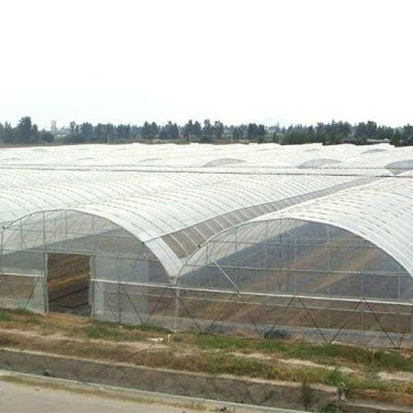 Cost Single-span Agricultural Greenhouses