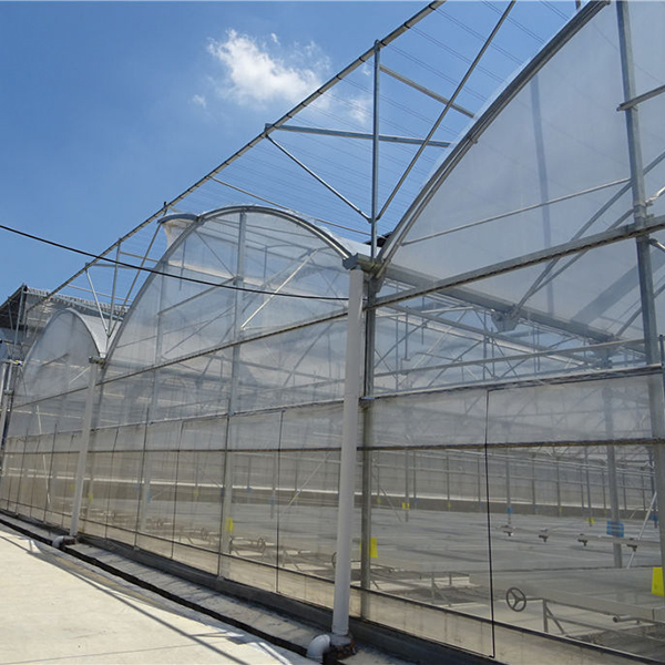 Could the Global Boom in Greenhouses Help Cool the Planet? - Yale E360