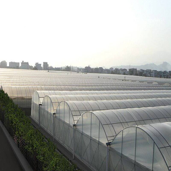 How to Organize Your Poly Tunnel with Shelving: A Complete Guide