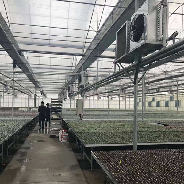 Innovative Greenhouse Technology: Smart Glass for Sustainable Agriculture