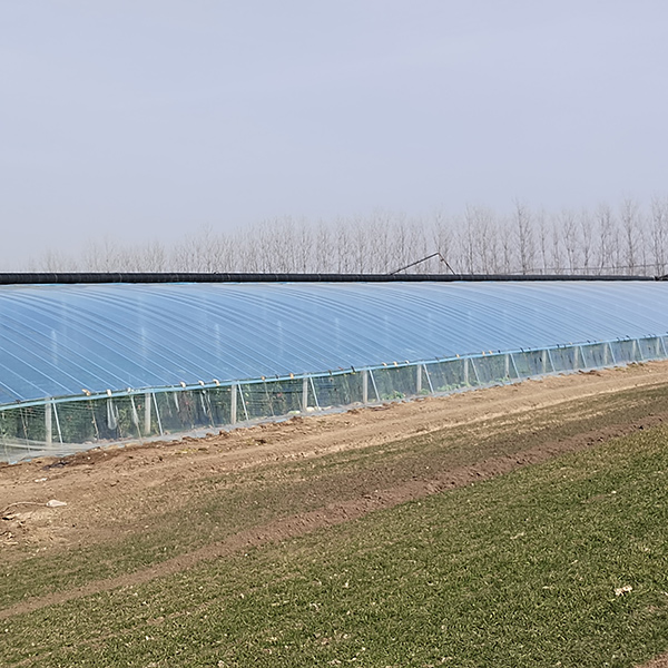 Effective Solar Heating Solutions for Poly Tunnels