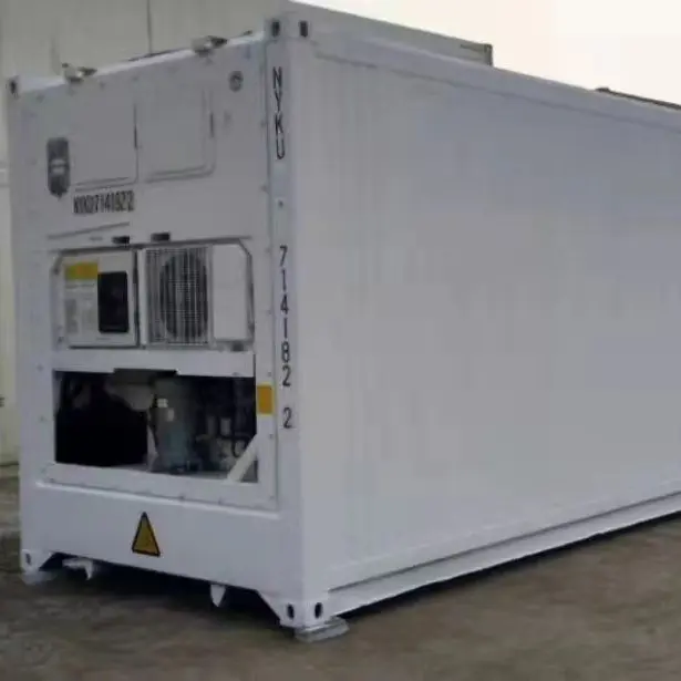 Fast installation, convenient mobile container cold room for cold storage and food freezing