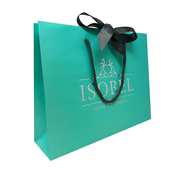 Hot Sales Custom Printed Logo Packaging Shopping Paper Bag with Ribbon Handles