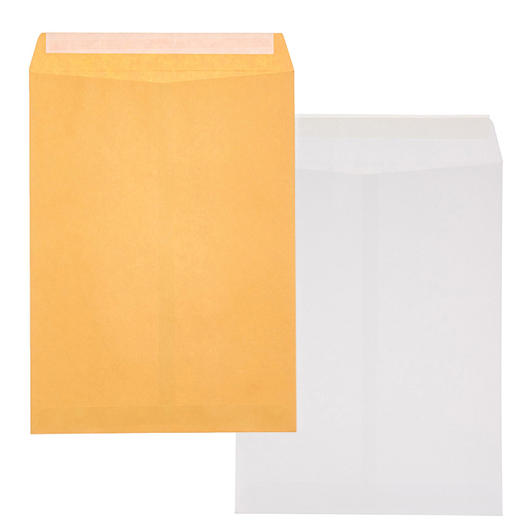 Brown Kraft Catalog Envelope for Business with Peel and Seal Flap