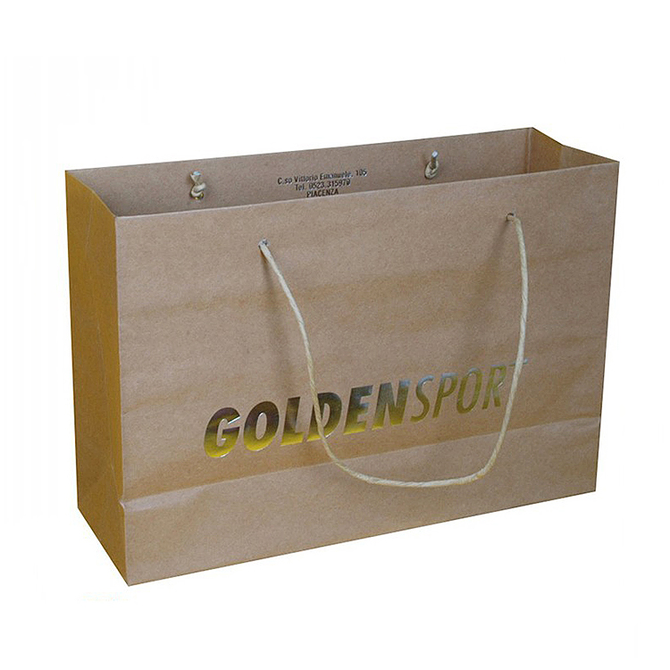 Hot Stamping Logo Paper Bag for Shopping and Clothes, Gift, Groceries Packing