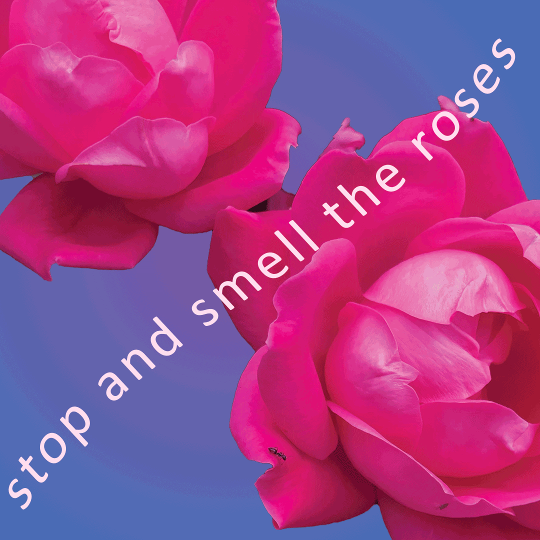 Smell the roses | Idler