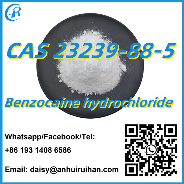 High Quality Low Price Pharmaceutical Raw Material Benzocaine Hydrochloride CAS 23239-88-5 80mesh/200mesh