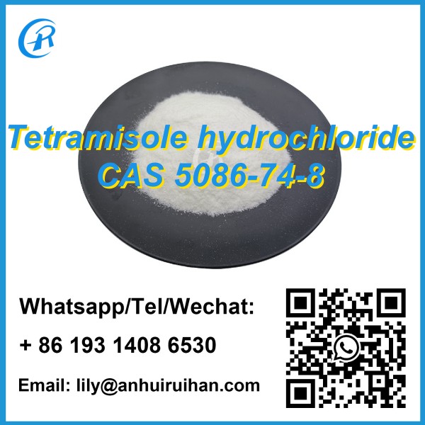 Bulk Supply Tetramisole hydrochloride CAS 5086-74-8 in Stock