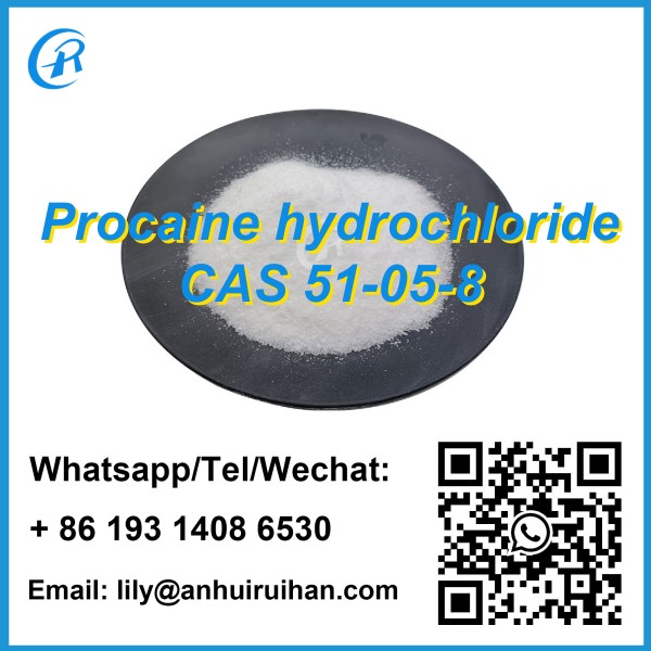 Hot Sale Chemical Raw Materials Procaine hydrochloride CAS51-05-8 with fast delivery