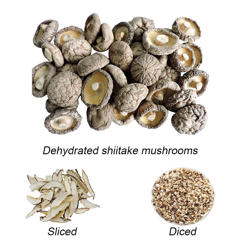 Hot Sales Air Dried Shiitake Mushroom Dehydrated Mushrooms from China