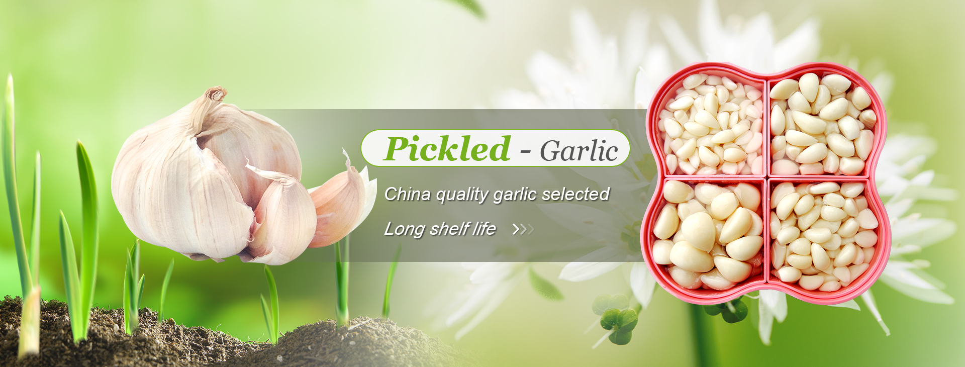 Frozen Garlic, IQF Garlic Cloves, IQF Diced Garlic - RUIQIAO