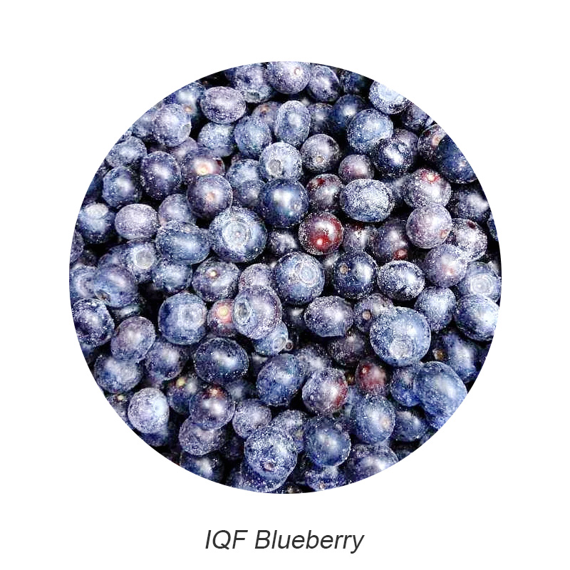 Chinese IQF blueberry hot sale Frozen blueberry no additives