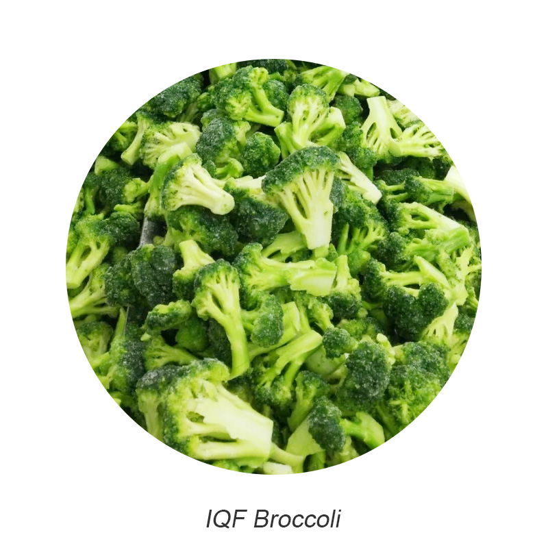 IQF broccoli Frozen broccoli floret