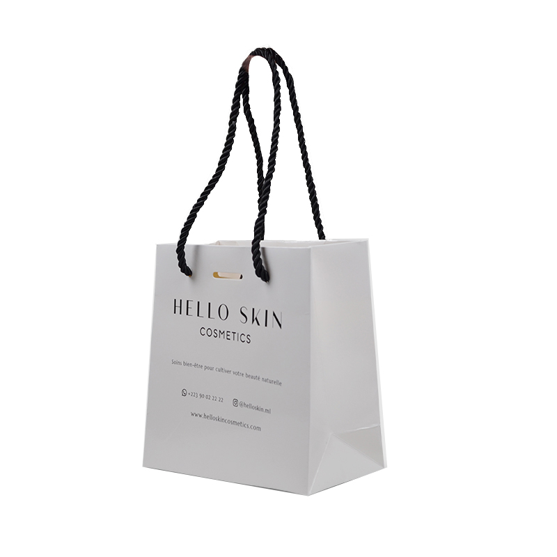  Luxury Custom Logo Elegant Small Gift Packaging Art Paper Bag With Rope