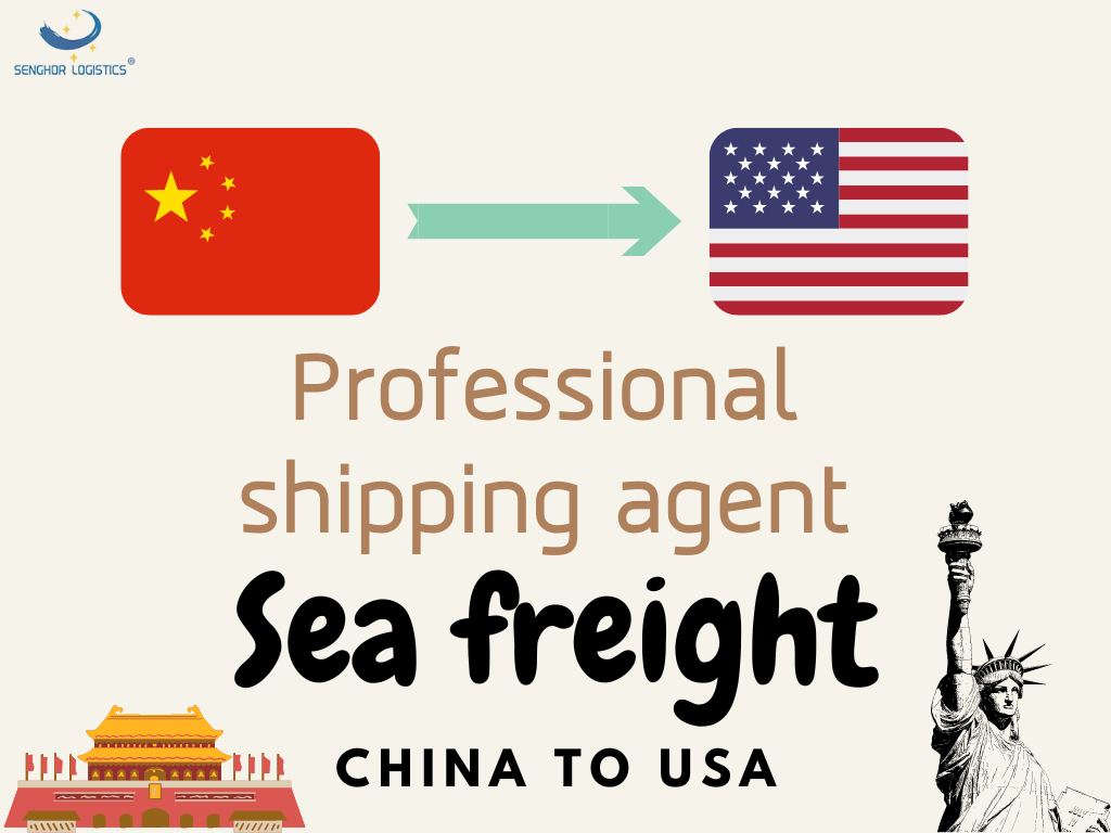 Professional shipping agent sea freight from China to USA economical rates by Senghor Logistics