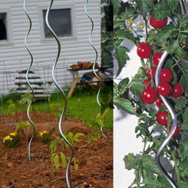  Plant Spiral / Tomato Support