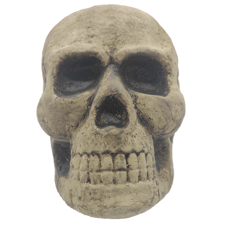 Light Weight Skeleton Bones Halloween Head Plastic Human Skull