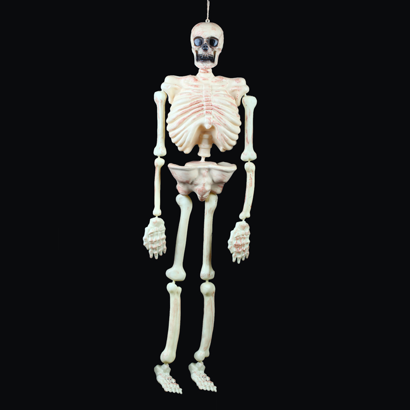 Halloween Decorations and Decorative Create a Halloween Horror Atmosphere Spooky Human Skulls & Skeletons