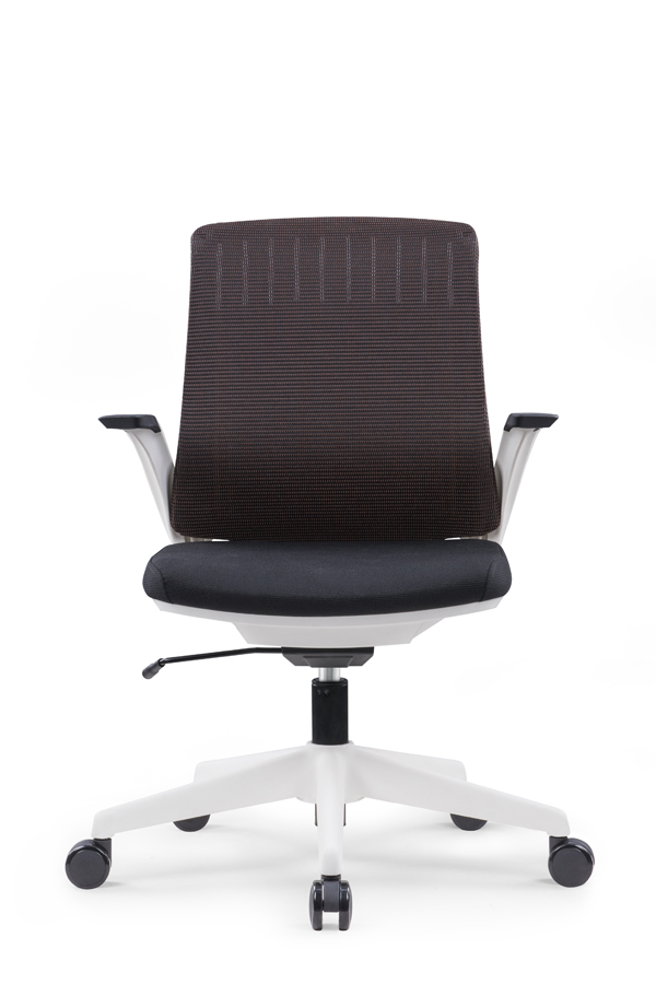 New Arrival WHALE Staff Chair