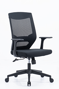 Financial Enterprises Office Chair With Lumbar Support