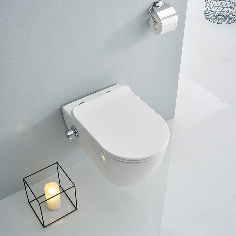 SSWW WALL-HUNG TOILET WITH BIDET FUNTION CT2019V-B (with bidet function) 