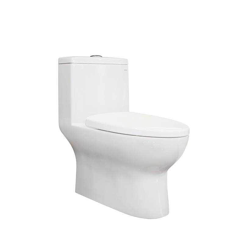 SSWW ONE PIECE TOILET /CERAMIC TOILET CO1085