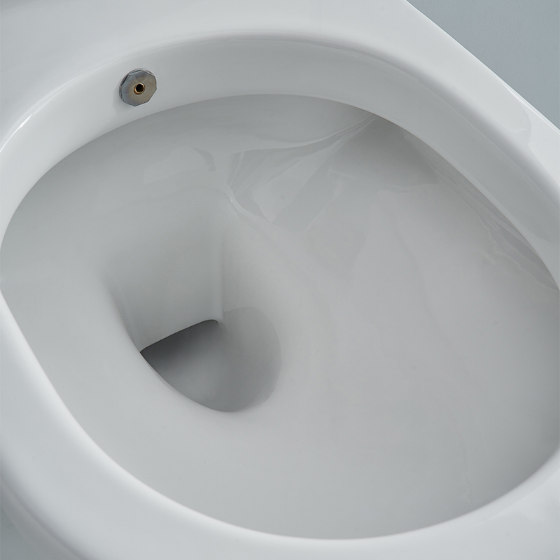 SSWW WALL-HUNG TOILET WITH BIDET FUNTION CT2019V-B (with bidet function) 