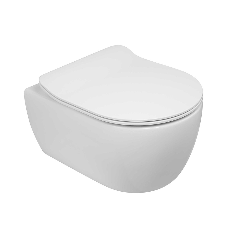 SSWW RIMFREE WALL-HUNG TOILET /CERAMIC TOILET CT2038V