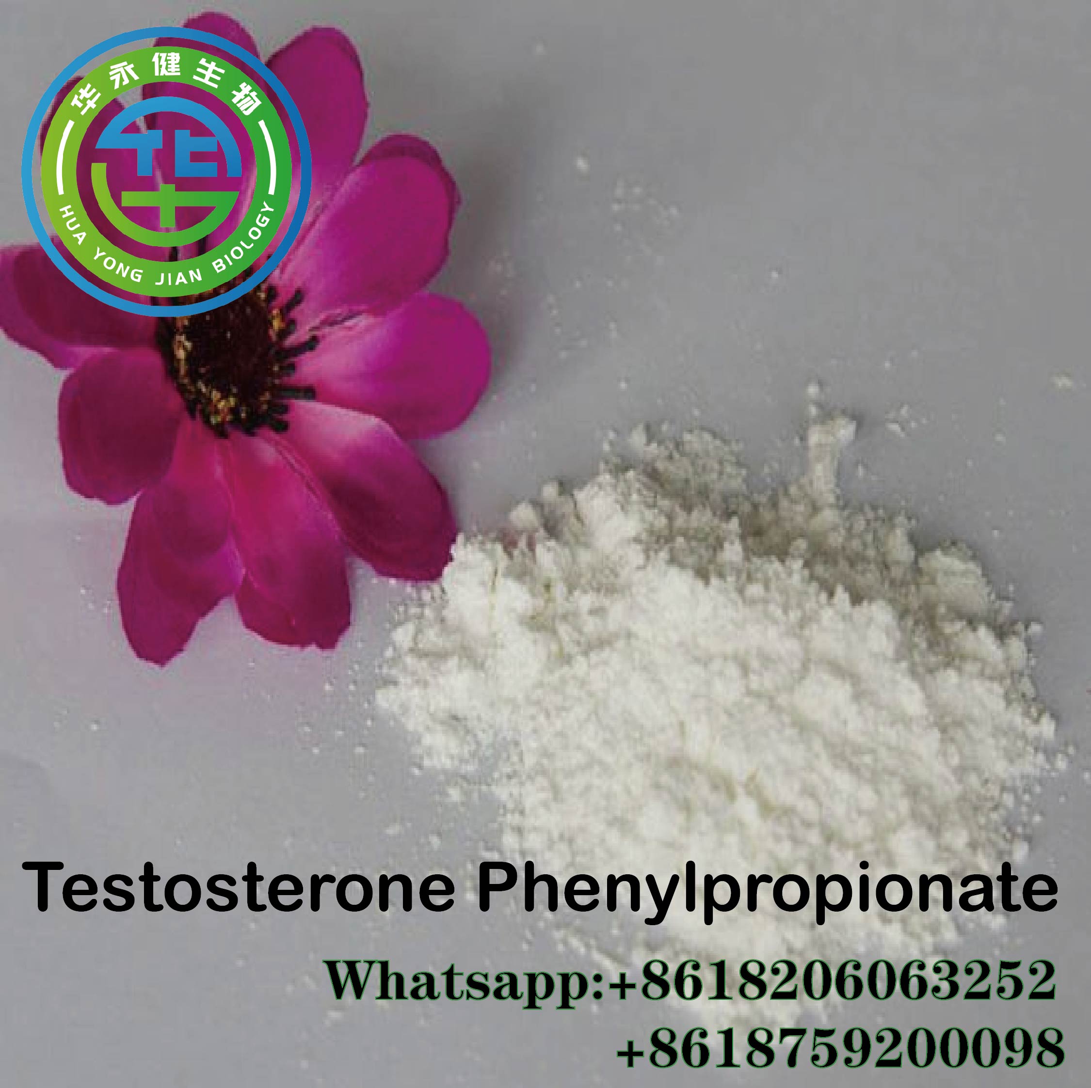 Paypal Bitcoin Accepted Testosterone Phenylpropionate  TPP Raw Steroid Powder