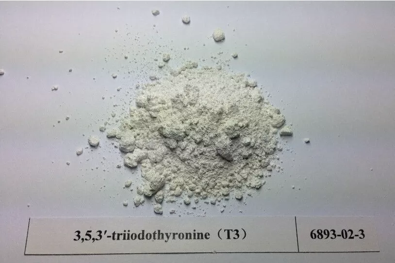 Oral Injectable Anabolic Steroid L-Triiodothyronine T3 anabolic steroids powder CasNO.55-06-1