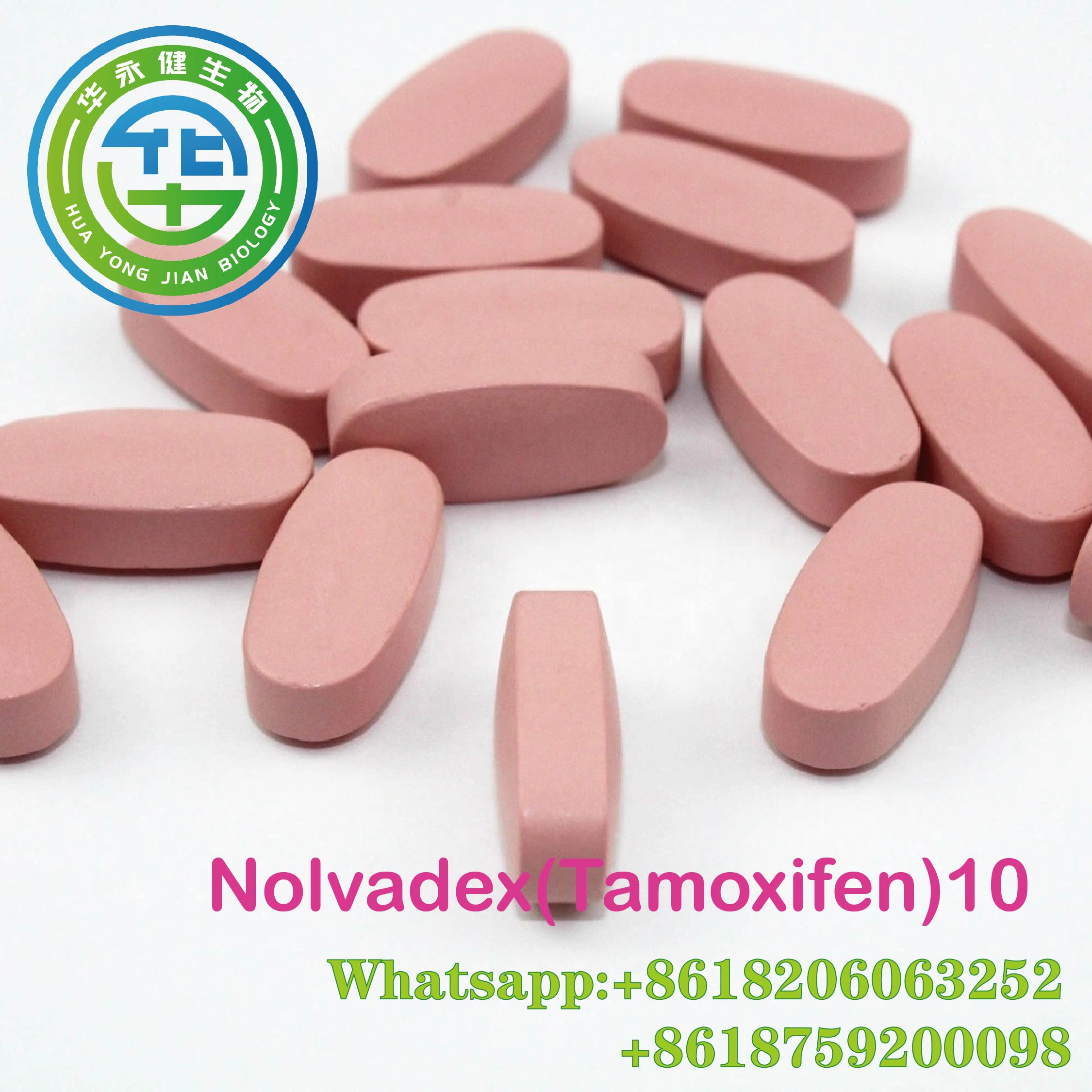 Nolvadex 10mg Tablet Injectable Anabolic Steroids White Tamoxifen Citrate 100pcs/bottle