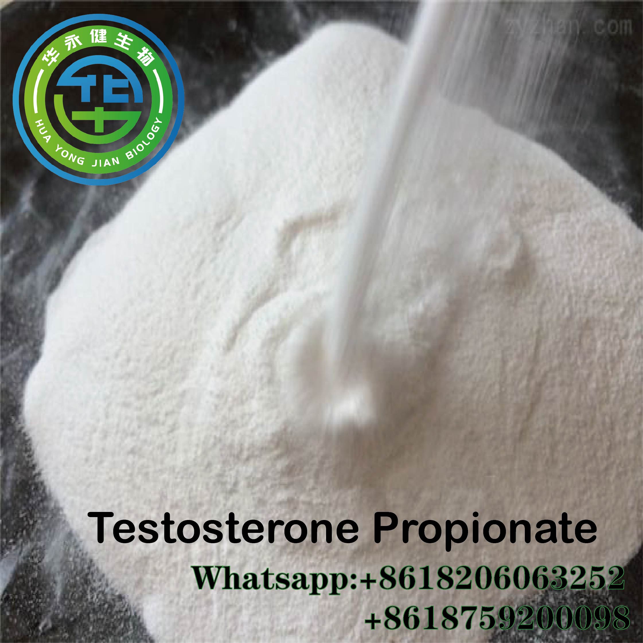 Muscle Building Testosterone Steroids Powder Testosterone Propionate Test Prop CAS 57-85-2