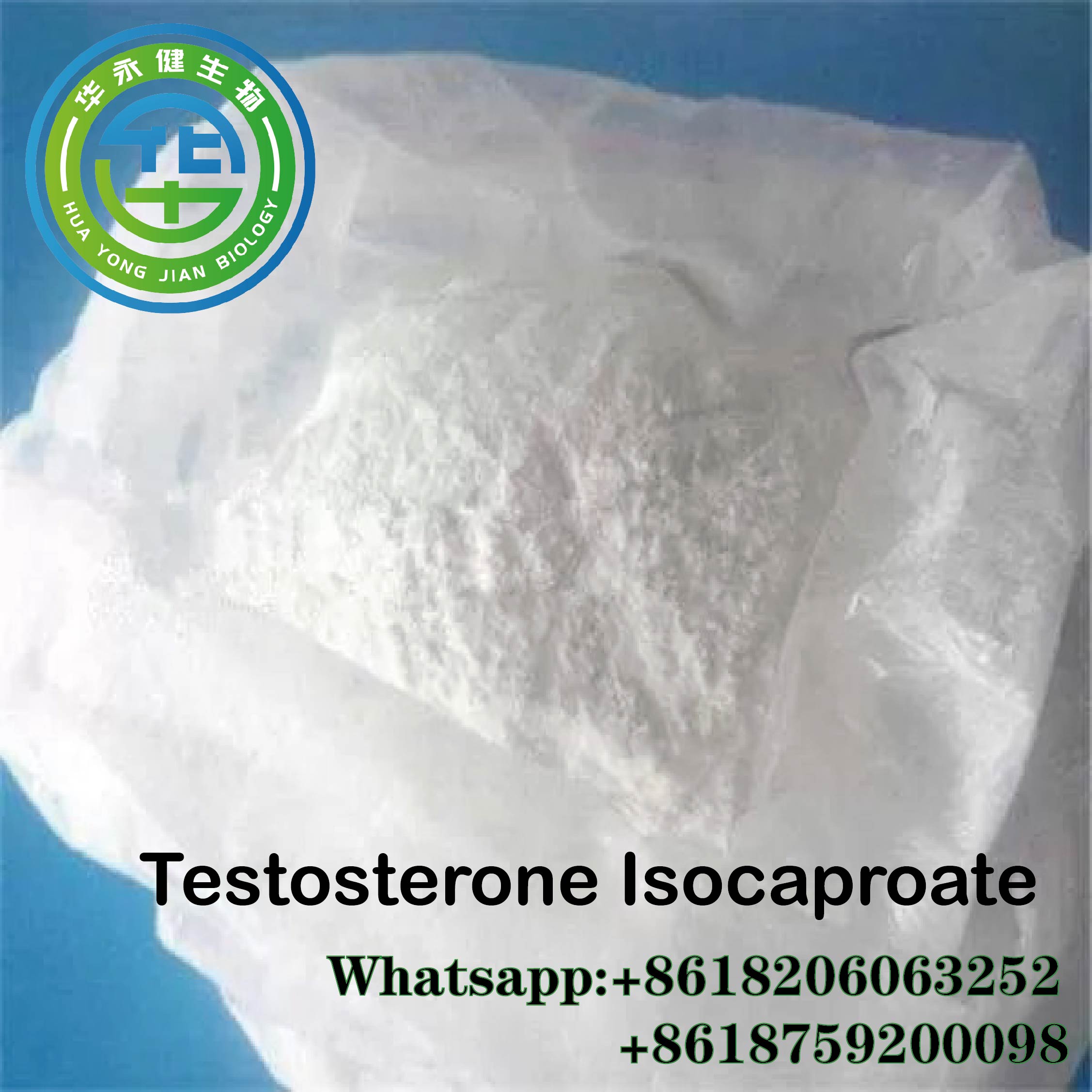 Testosterone Isocaproate Raw material powder Test I Steroid Hormone Testosterone Iso for Bodybuilding CAS 15262-86-9 