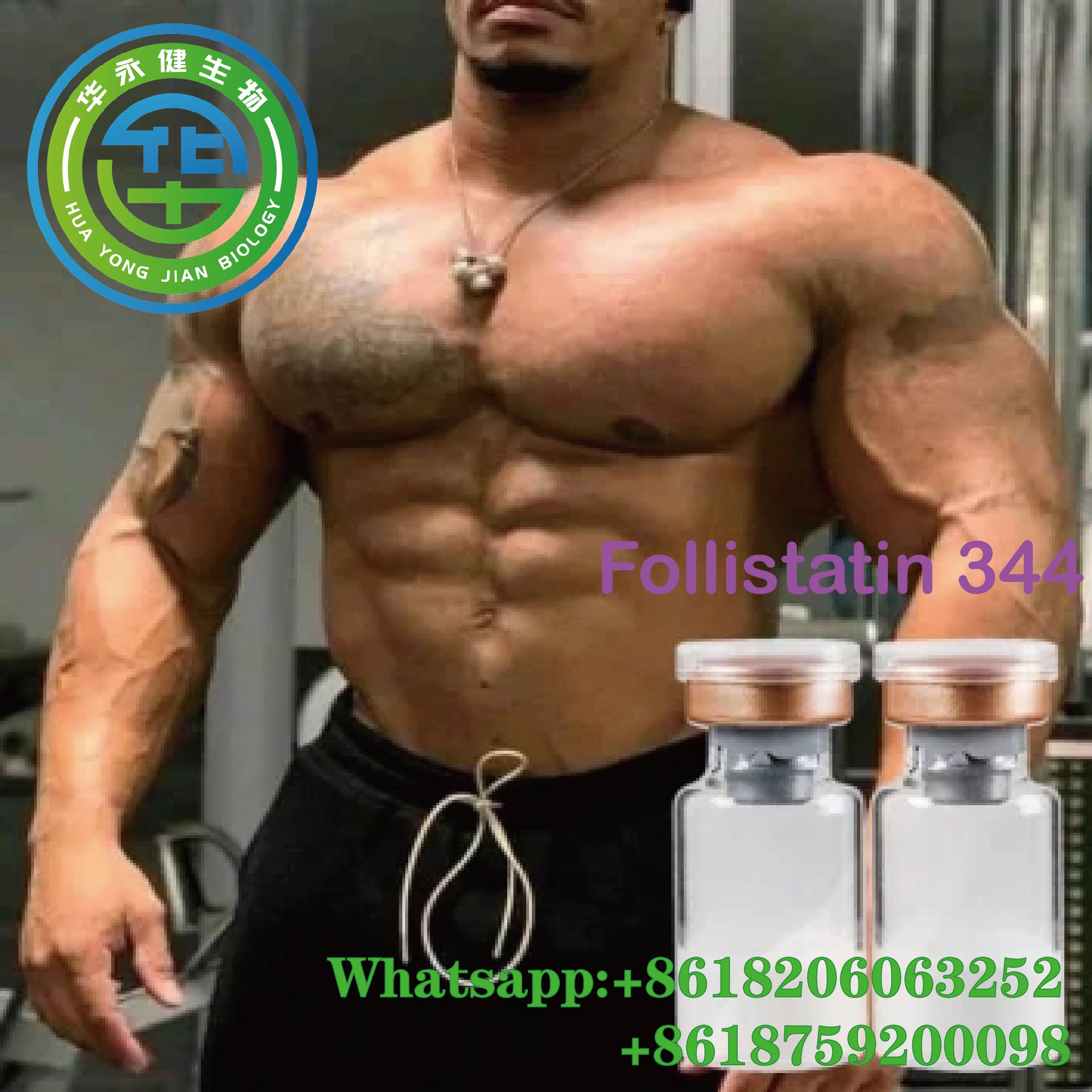 Follistatin 344 human growth peptides For Bodybuildier Fat Burning