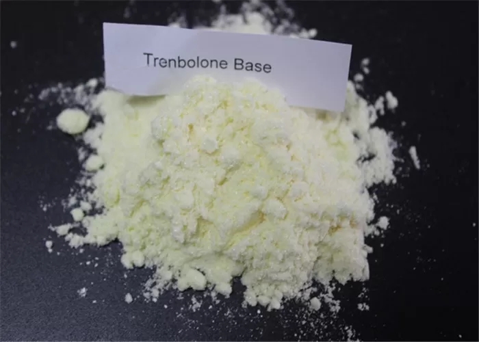Androgenic Steroidal Hormone Bodybuilding Trenbolone Powder Trenbolone base cycle Steroids powder CAS 10161-33-8 