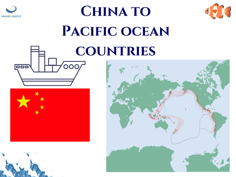  Sea freight forwarding from China to Pacific Ocean countries by Senghor Logistics