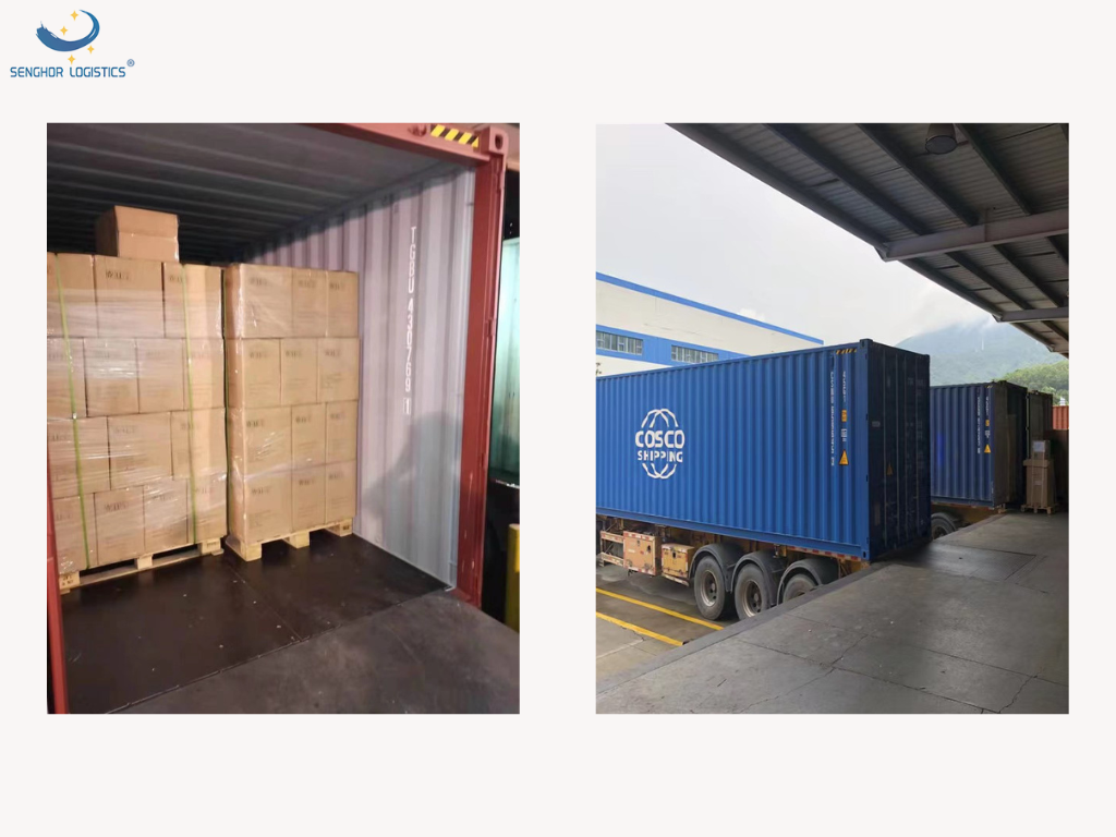 Ocean shipping freight agency China to France by Senghor Logistics
