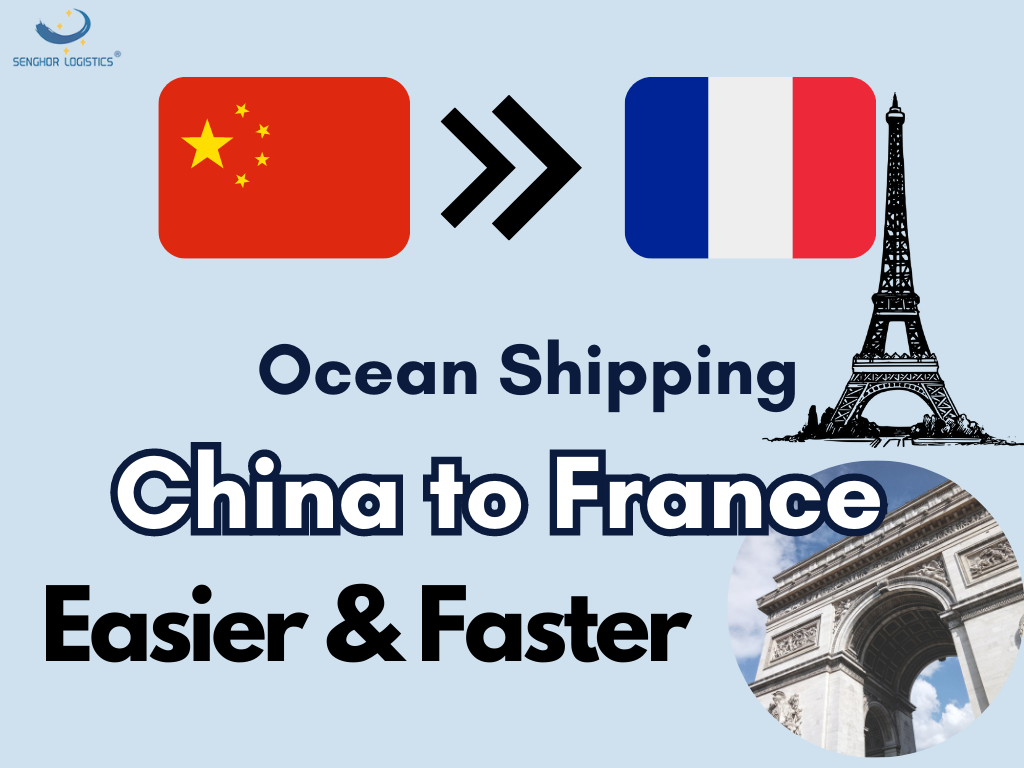  Ocean shipping freight agency China to France by Senghor Logistics