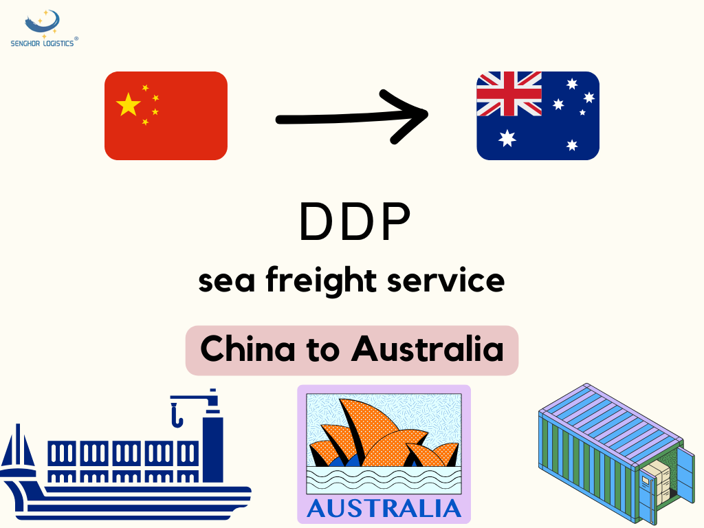 DDP DDU shipping sea freight service from china to Australia freight forwarder