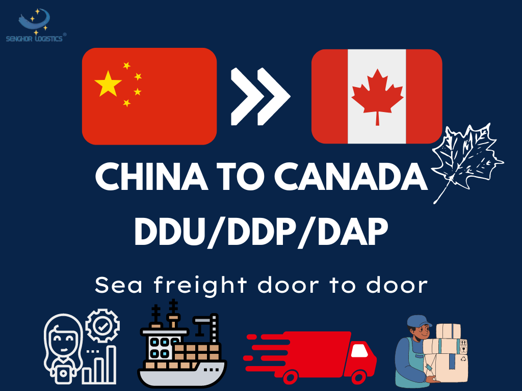  Door to door (DDU/DDP/DAP) sea freight service from China to Canada by Senghor Logistics