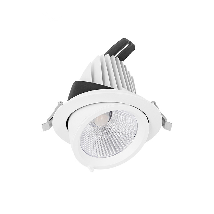  Rotatable Commercial Dali Dimmable LED COB 10/20/30/40/50W Adjustable LED Spotlight Ceiling Spotlights