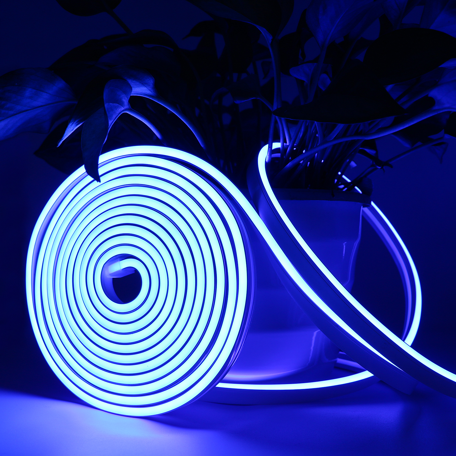 Silicone Neon Led Strip Manufacturer: Factory Price in China