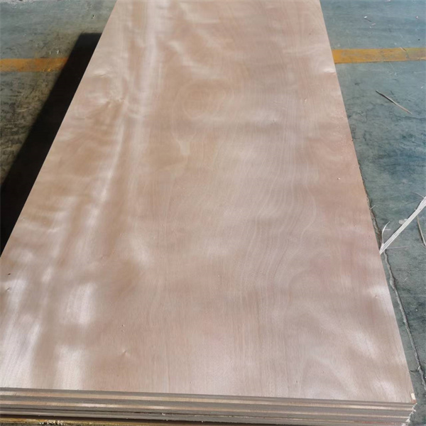  Poplar core okoume faced commercial plywood factory whosale price 