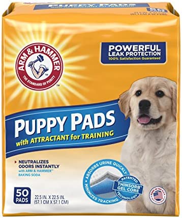 sticky back puppy pads | Bestfamilypets