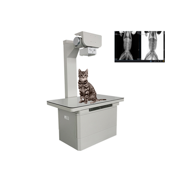 High frequency X-ray machine for small animals