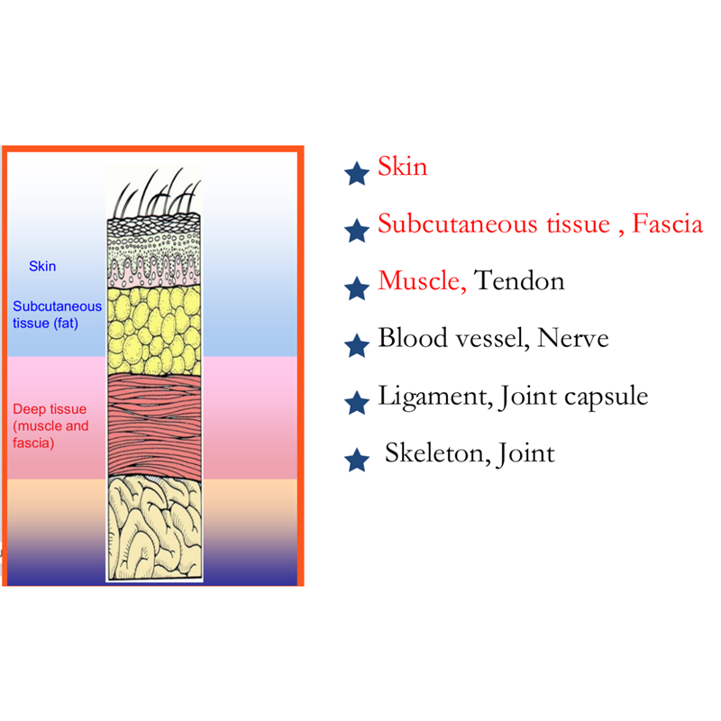 Orthopedic introduction and sutures recommendation